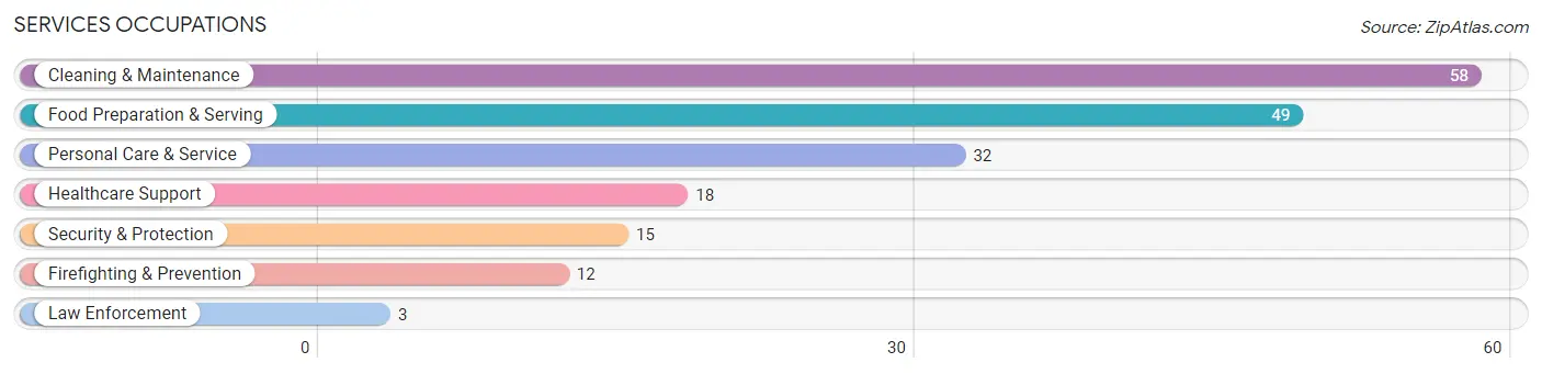 Services Occupations in Spring Grove borough