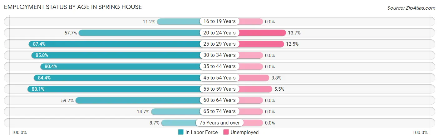 Employment Status by Age in Spring House