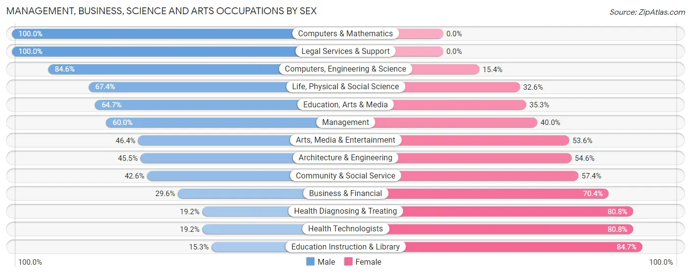 Management, Business, Science and Arts Occupations by Sex in Spring House