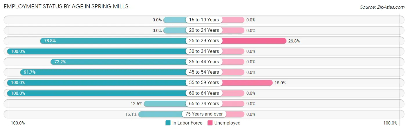 Employment Status by Age in Spring Mills