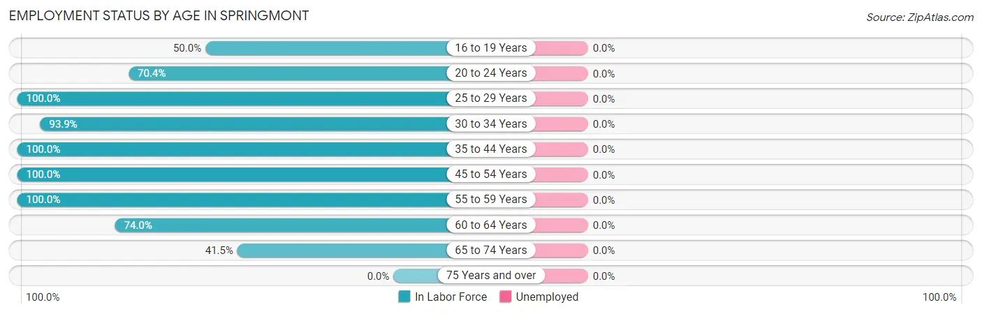 Employment Status by Age in Springmont