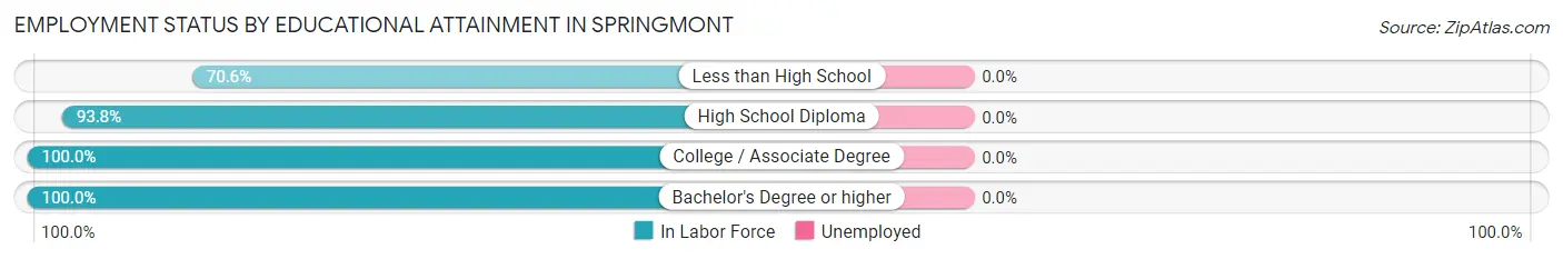 Employment Status by Educational Attainment in Springmont