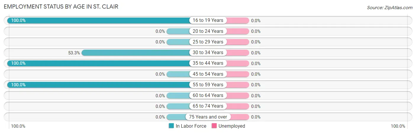 Employment Status by Age in St. Clair