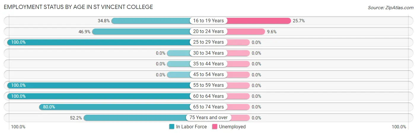 Employment Status by Age in St Vincent College