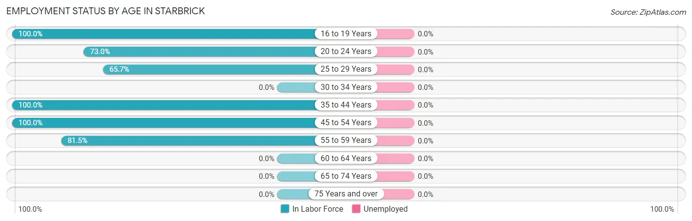 Employment Status by Age in Starbrick