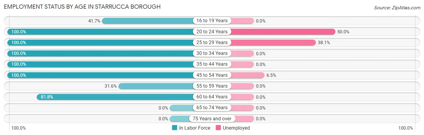 Employment Status by Age in Starrucca borough