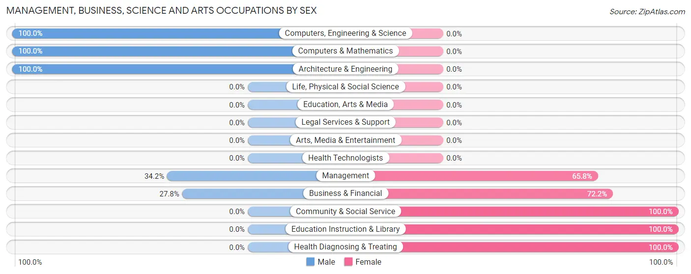 Management, Business, Science and Arts Occupations by Sex in Stiles