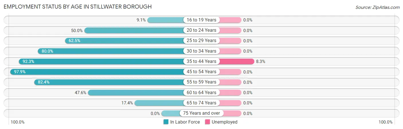 Employment Status by Age in Stillwater borough