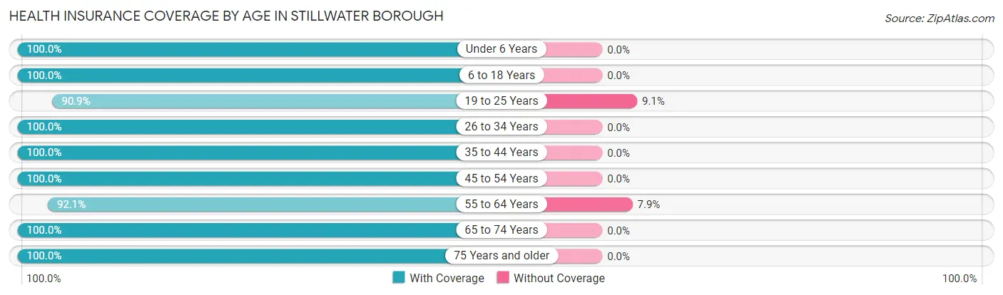 Health Insurance Coverage by Age in Stillwater borough
