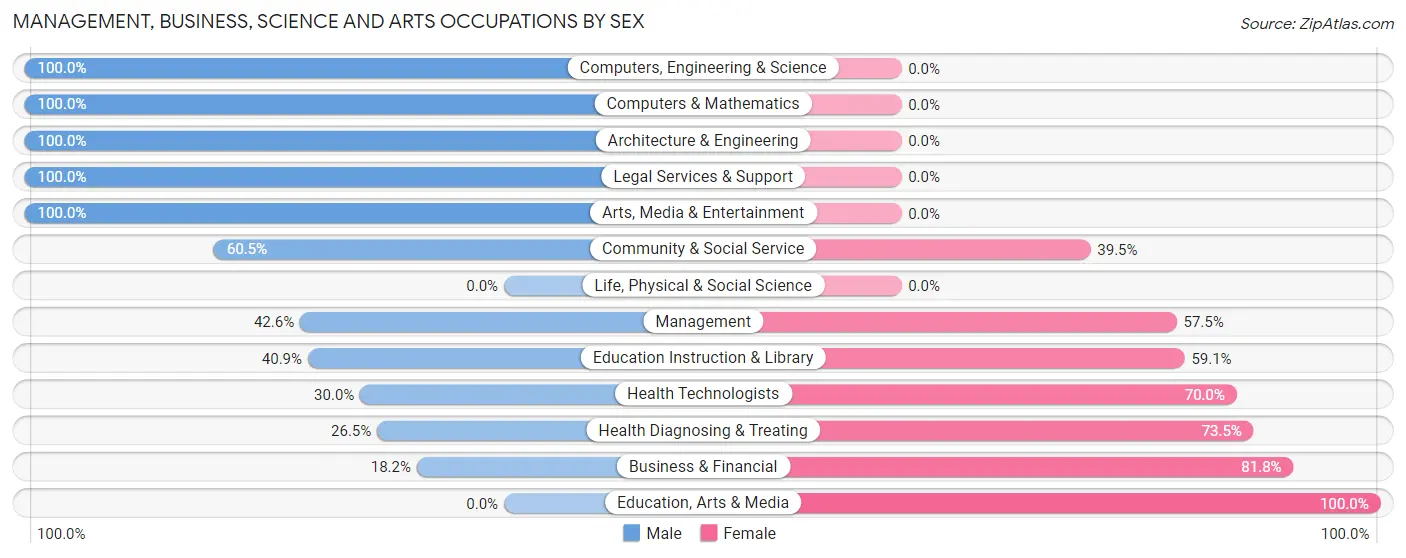 Management, Business, Science and Arts Occupations by Sex in Stockertown borough