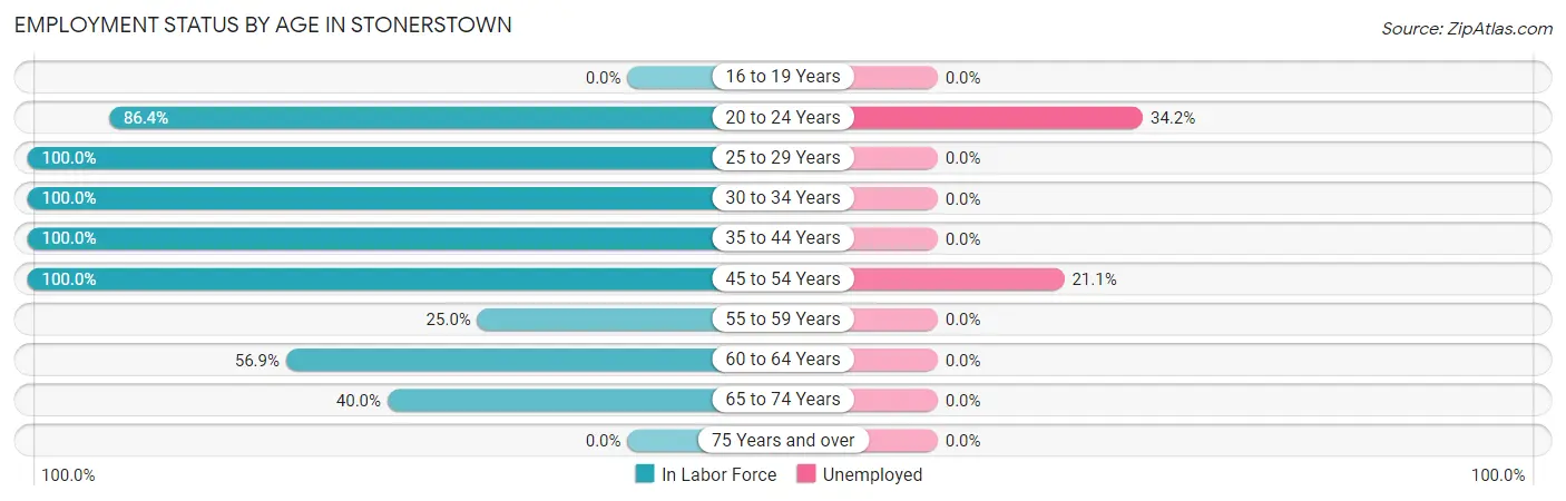 Employment Status by Age in Stonerstown
