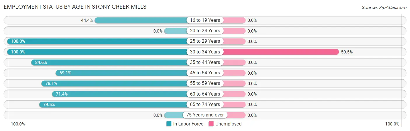 Employment Status by Age in Stony Creek Mills