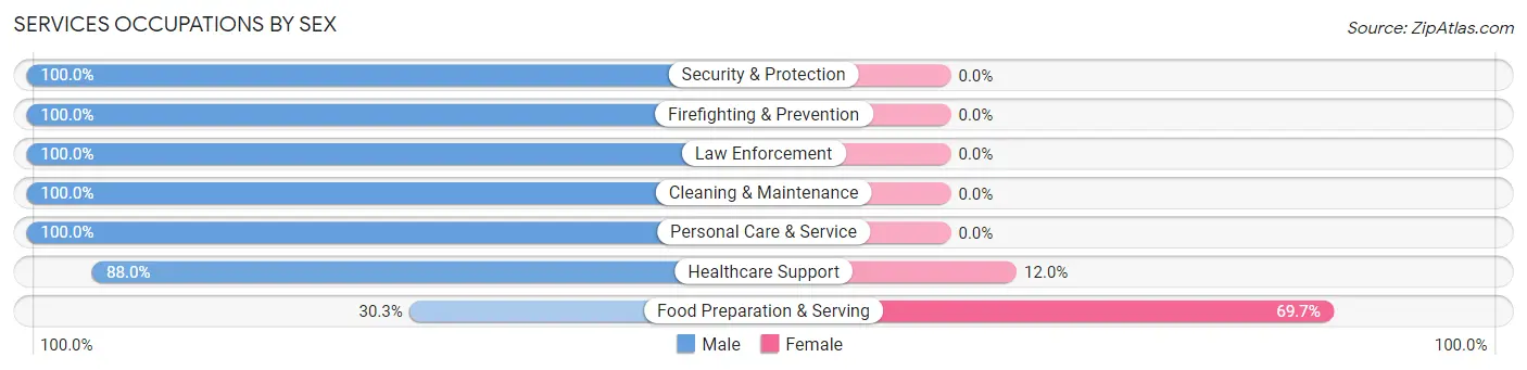 Services Occupations by Sex in Strasburg borough