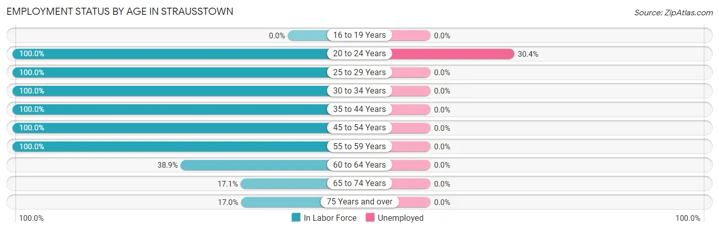 Employment Status by Age in Strausstown