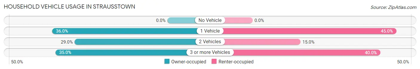 Household Vehicle Usage in Strausstown