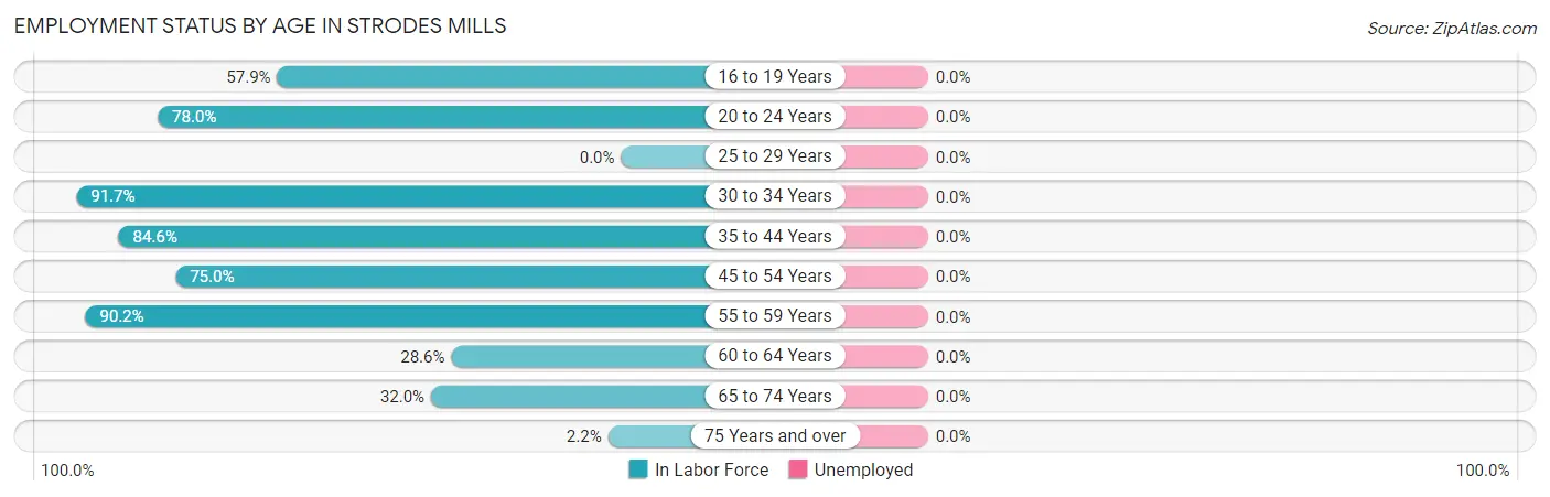 Employment Status by Age in Strodes Mills