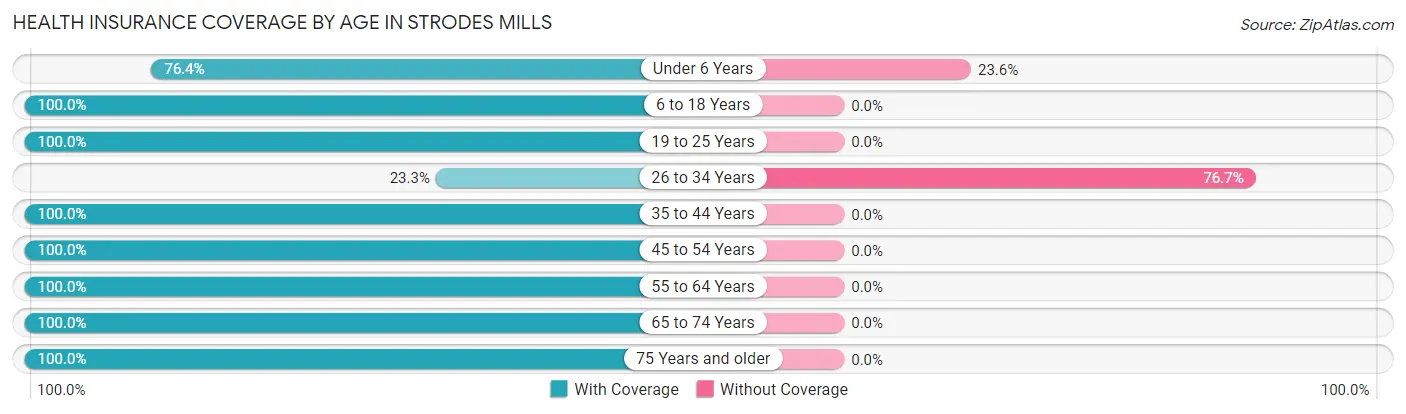 Health Insurance Coverage by Age in Strodes Mills