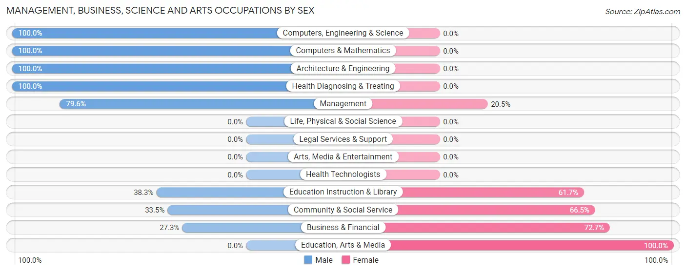 Management, Business, Science and Arts Occupations by Sex in Stroudsburg borough