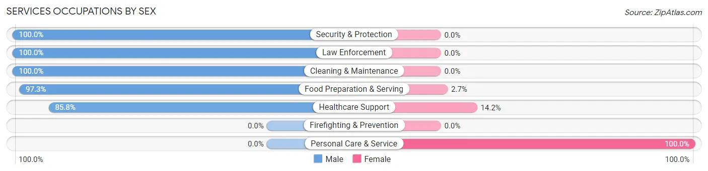 Services Occupations by Sex in Stroudsburg borough
