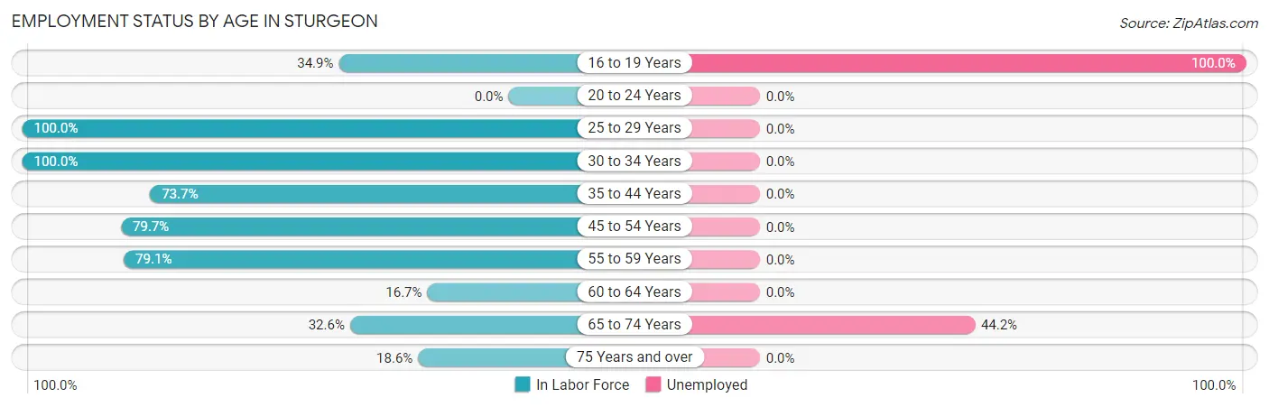 Employment Status by Age in Sturgeon