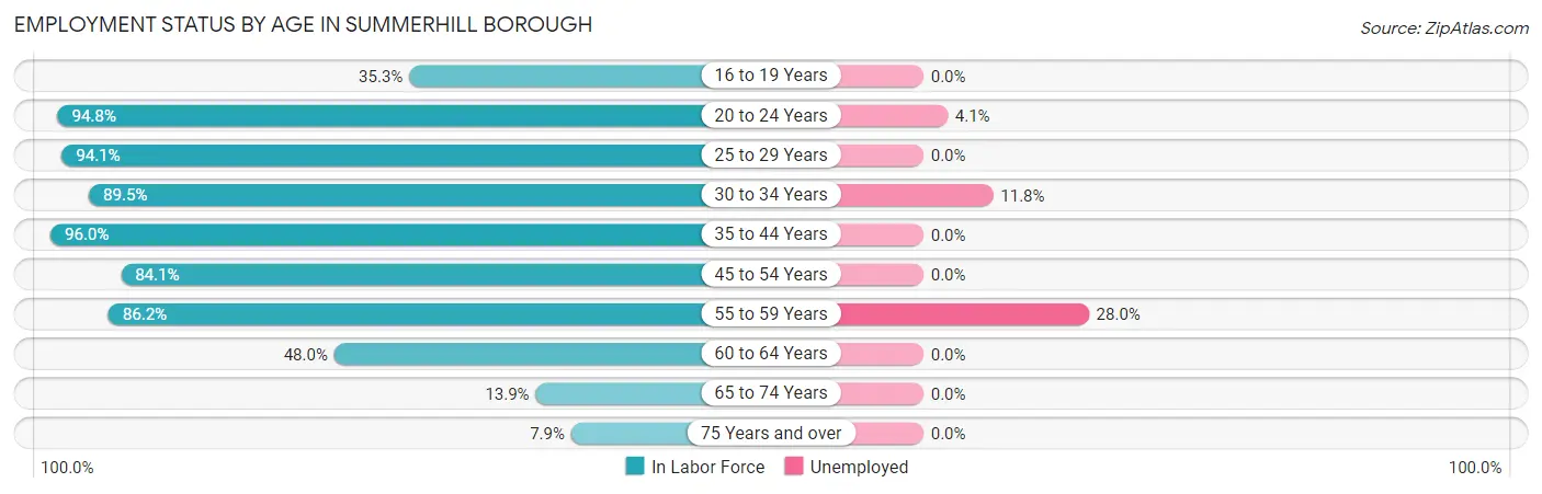 Employment Status by Age in Summerhill borough