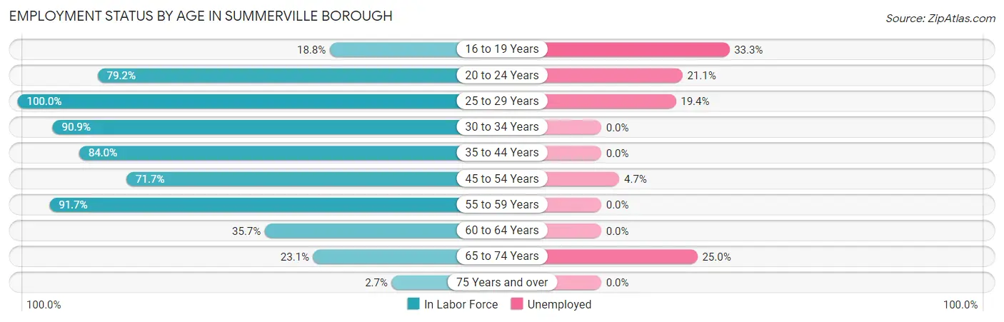 Employment Status by Age in Summerville borough