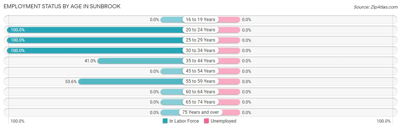 Employment Status by Age in Sunbrook