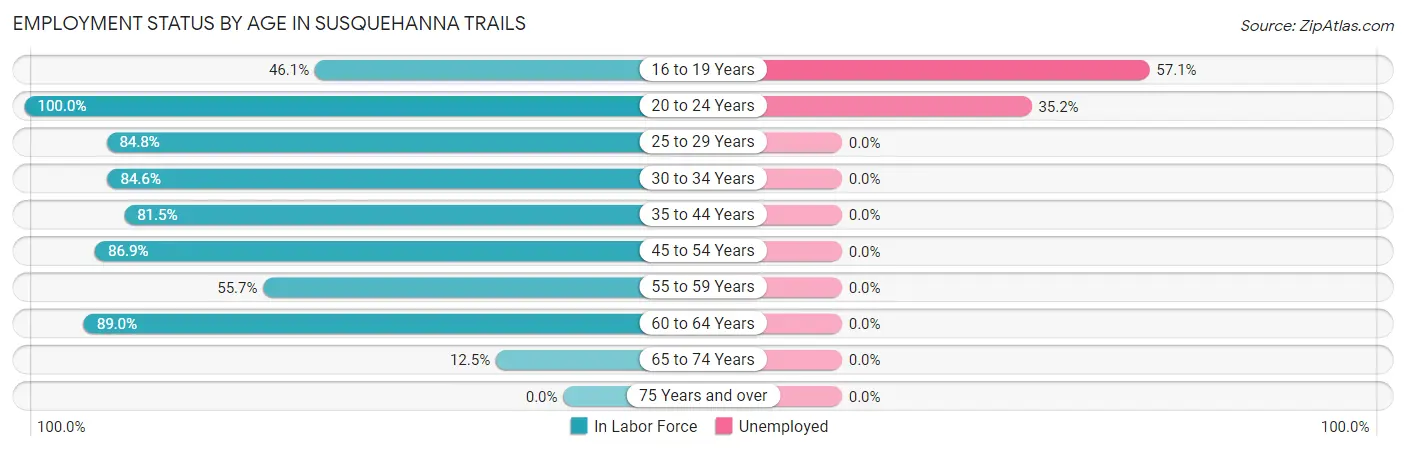Employment Status by Age in Susquehanna Trails