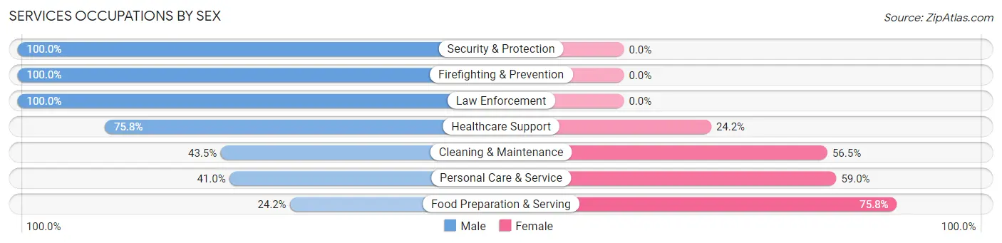 Services Occupations by Sex in Swoyersville borough