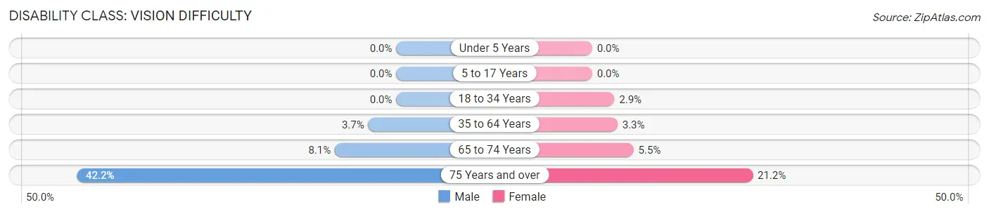 Disability in Tamaqua borough: <span>Vision Difficulty</span>