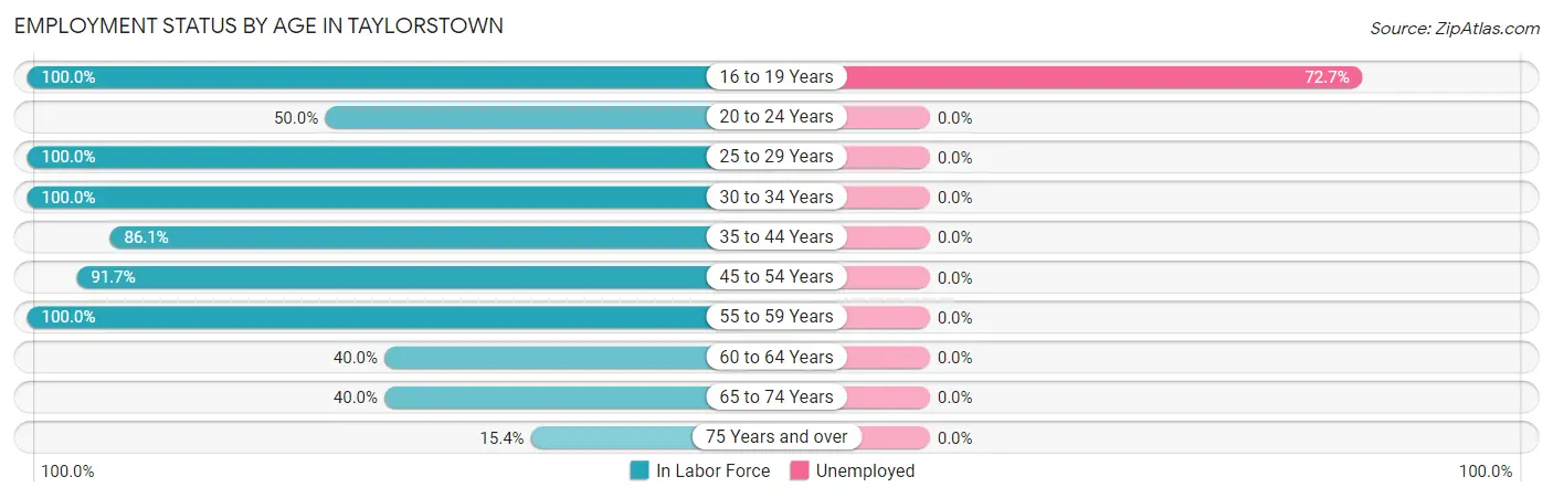 Employment Status by Age in Taylorstown