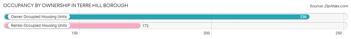 Occupancy by Ownership in Terre Hill borough