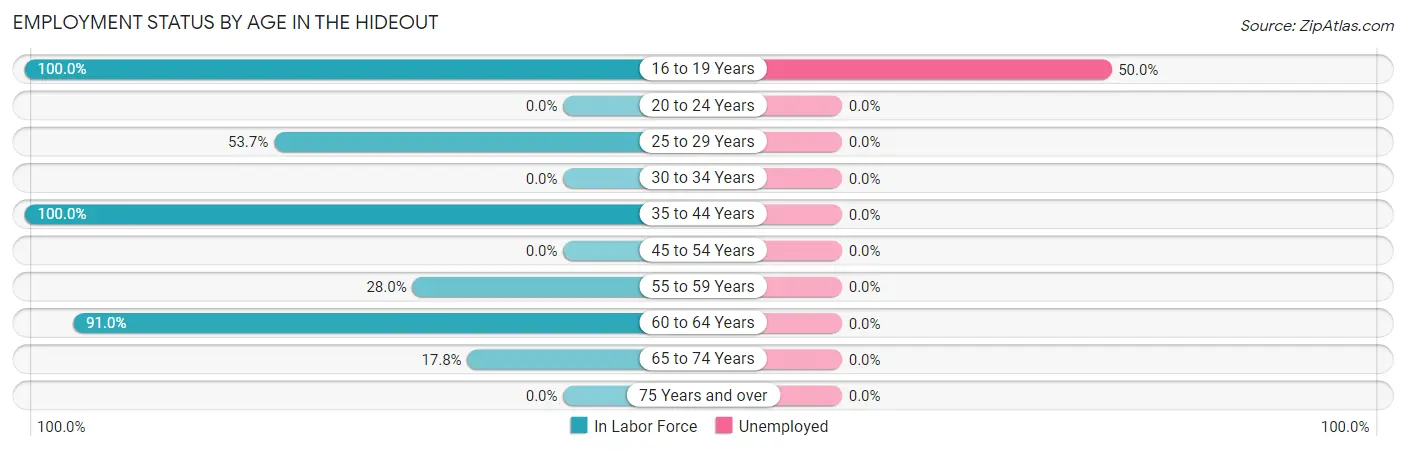 Employment Status by Age in The Hideout