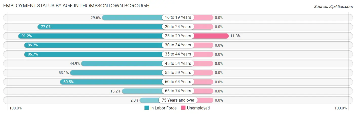 Employment Status by Age in Thompsontown borough