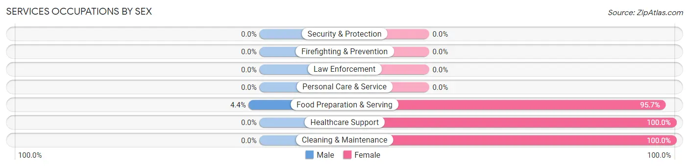Services Occupations by Sex in Thompsontown borough