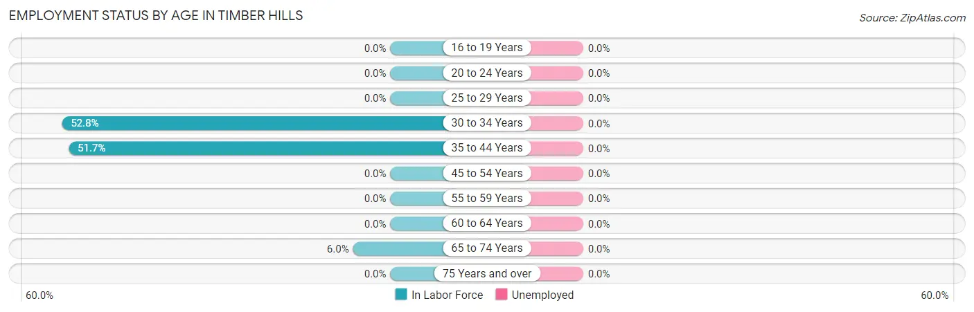 Employment Status by Age in Timber Hills