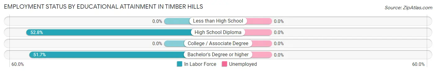 Employment Status by Educational Attainment in Timber Hills