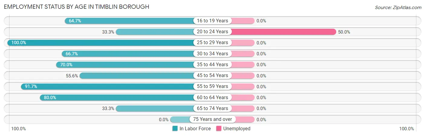 Employment Status by Age in Timblin borough