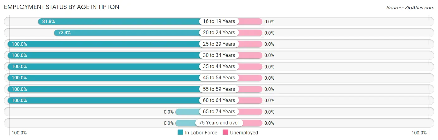 Employment Status by Age in Tipton