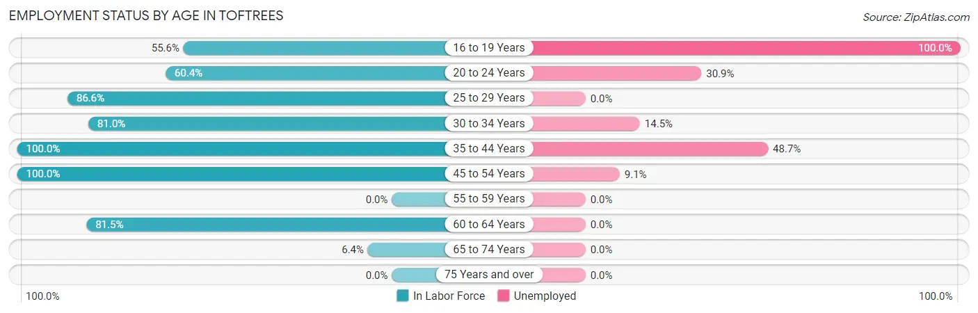 Employment Status by Age in Toftrees