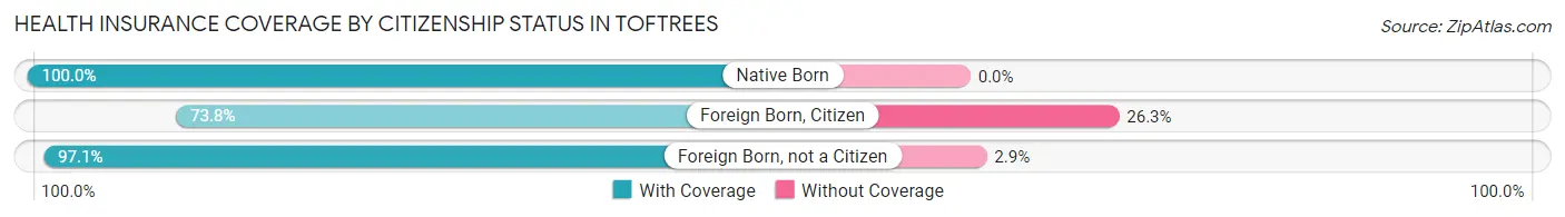 Health Insurance Coverage by Citizenship Status in Toftrees