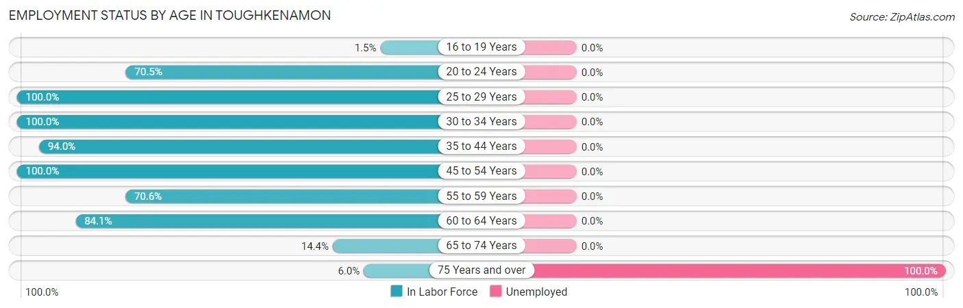 Employment Status by Age in Toughkenamon
