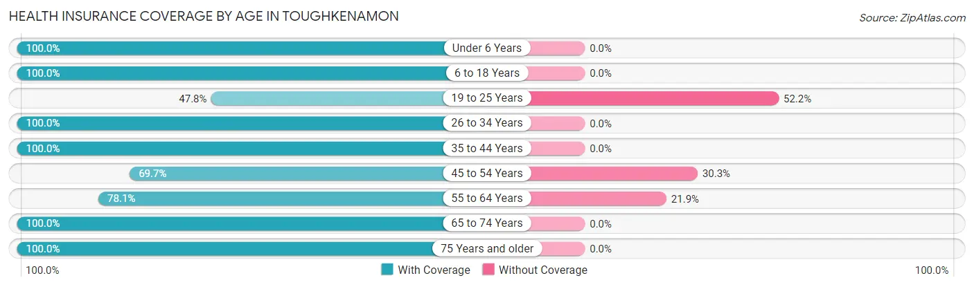 Health Insurance Coverage by Age in Toughkenamon