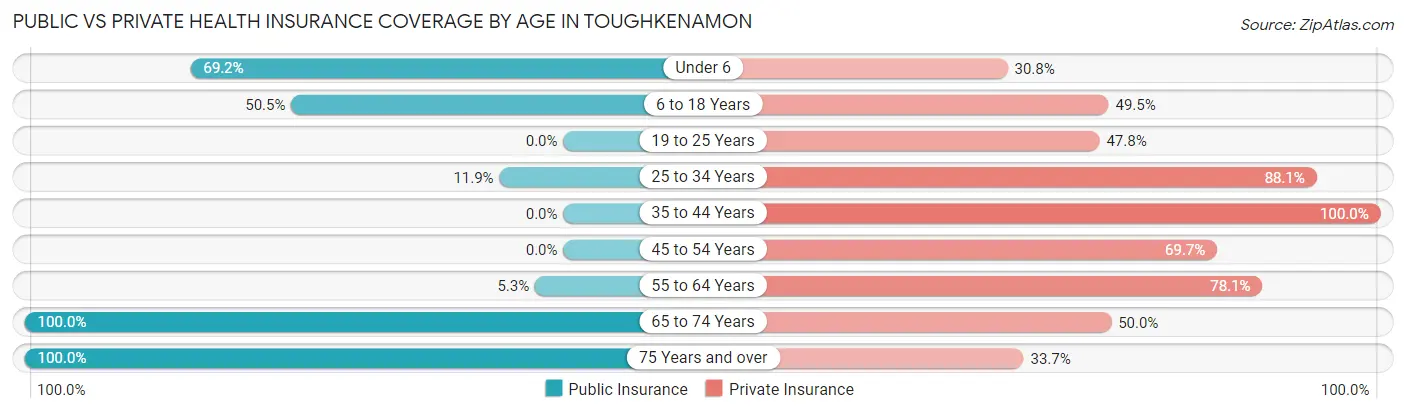Public vs Private Health Insurance Coverage by Age in Toughkenamon