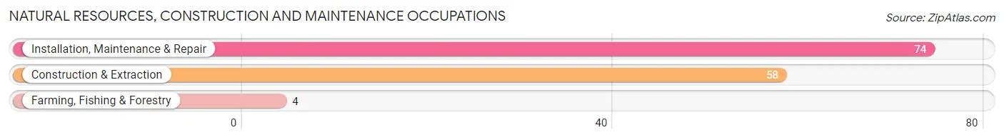 Natural Resources, Construction and Maintenance Occupations in Tremont borough