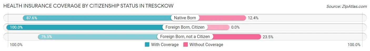 Health Insurance Coverage by Citizenship Status in Tresckow