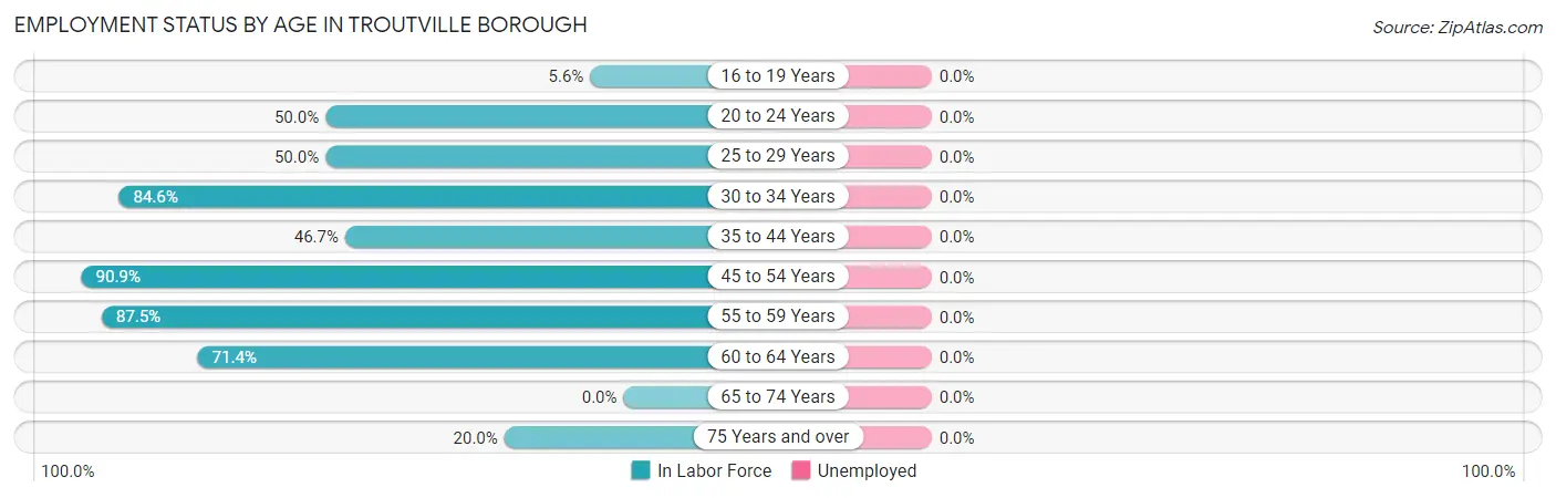 Employment Status by Age in Troutville borough