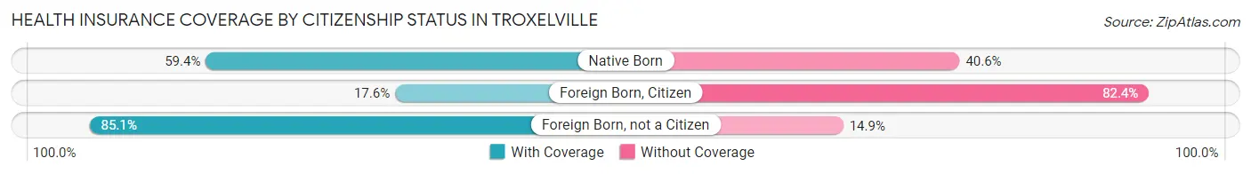 Health Insurance Coverage by Citizenship Status in Troxelville