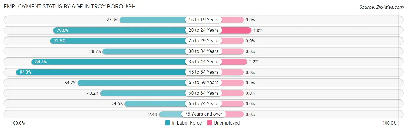 Employment Status by Age in Troy borough