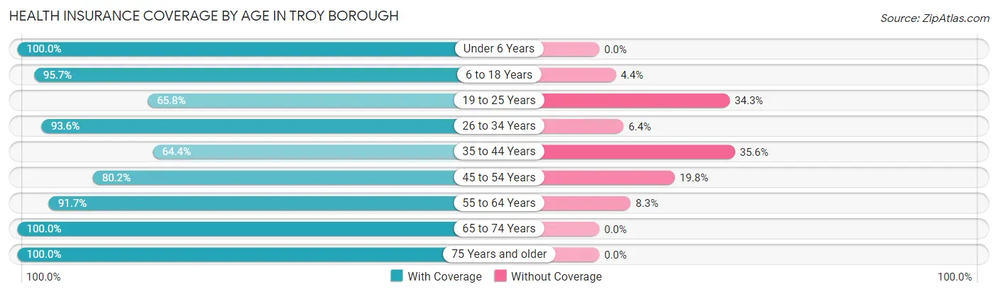 Health Insurance Coverage by Age in Troy borough